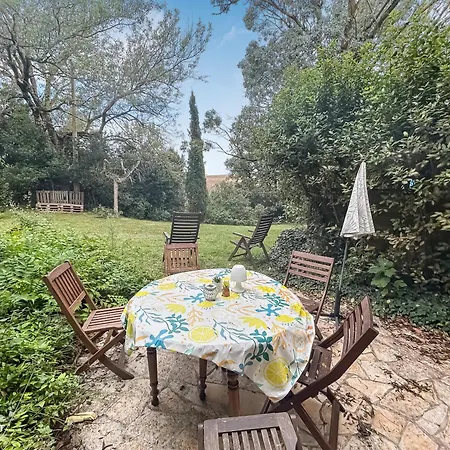 Jardin Verdoyant A 